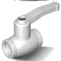 ���� �������