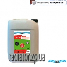 G20 �������� 20�